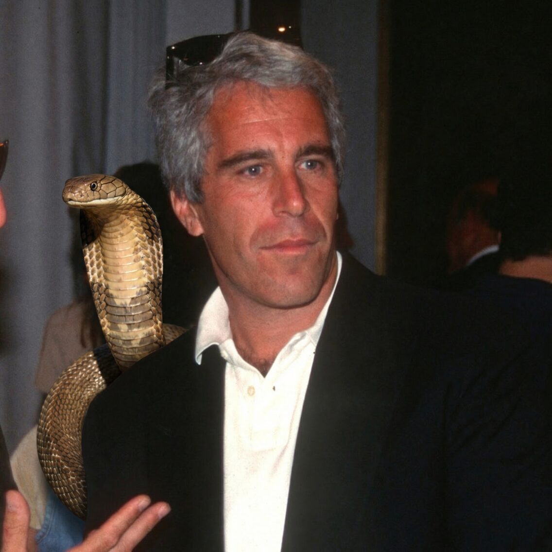 Análise Espiritual Védica I – Jeffrey Epstein