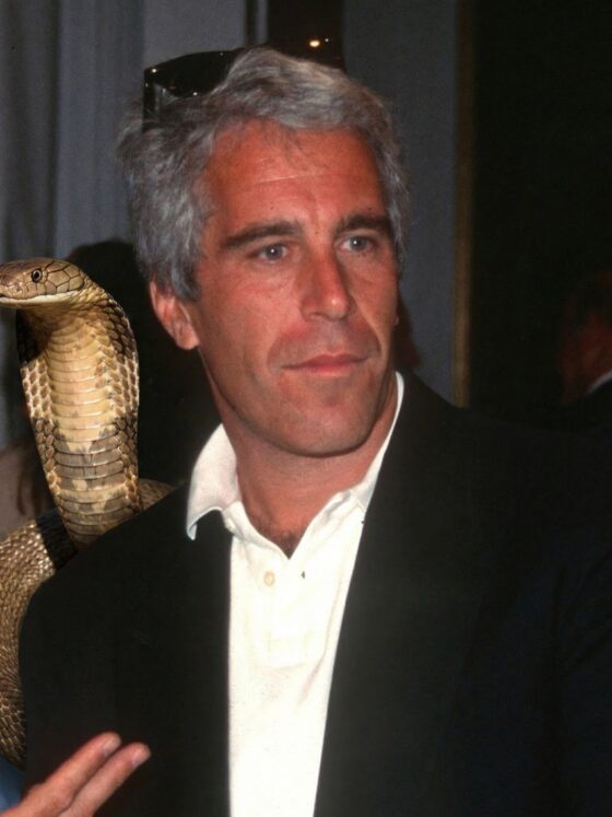 Análise Espiritual Védica I – Jeffrey Epstein